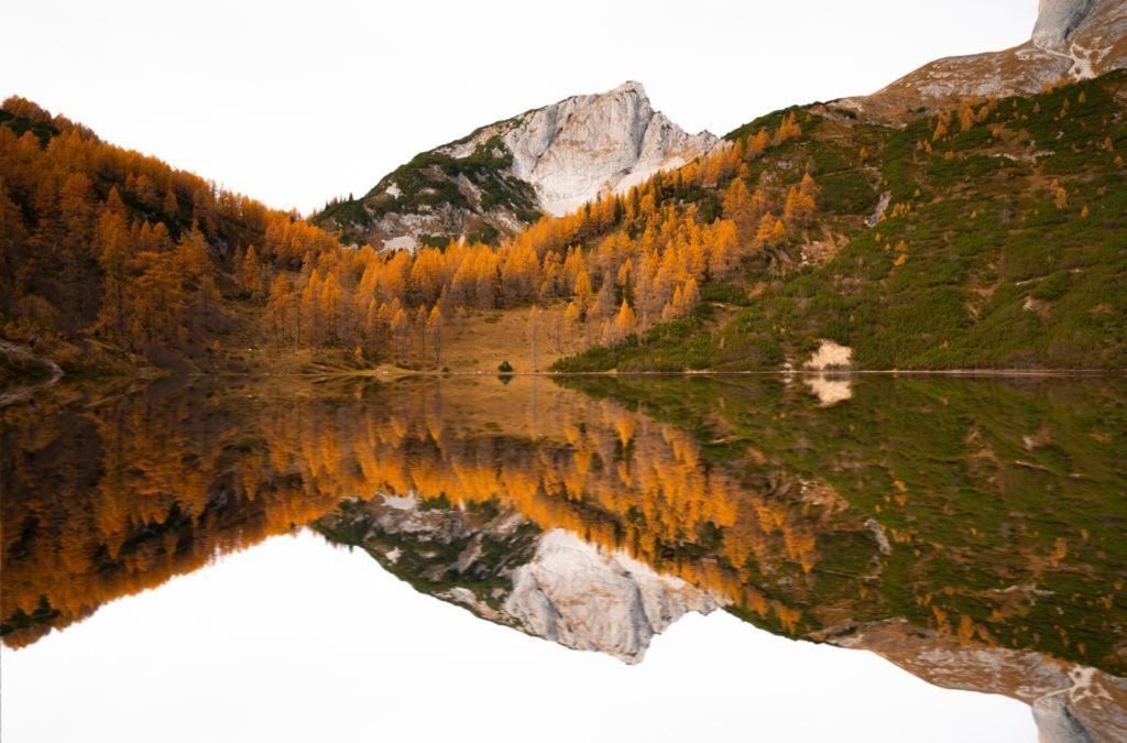 Haus Bergzauber Lägenhet Ramsau am Dachstein Rum bild