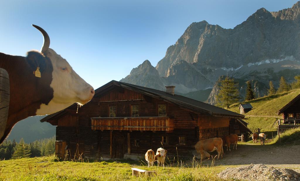 Haus Bergzauber Lägenhet Ramsau am Dachstein Exteriör bild