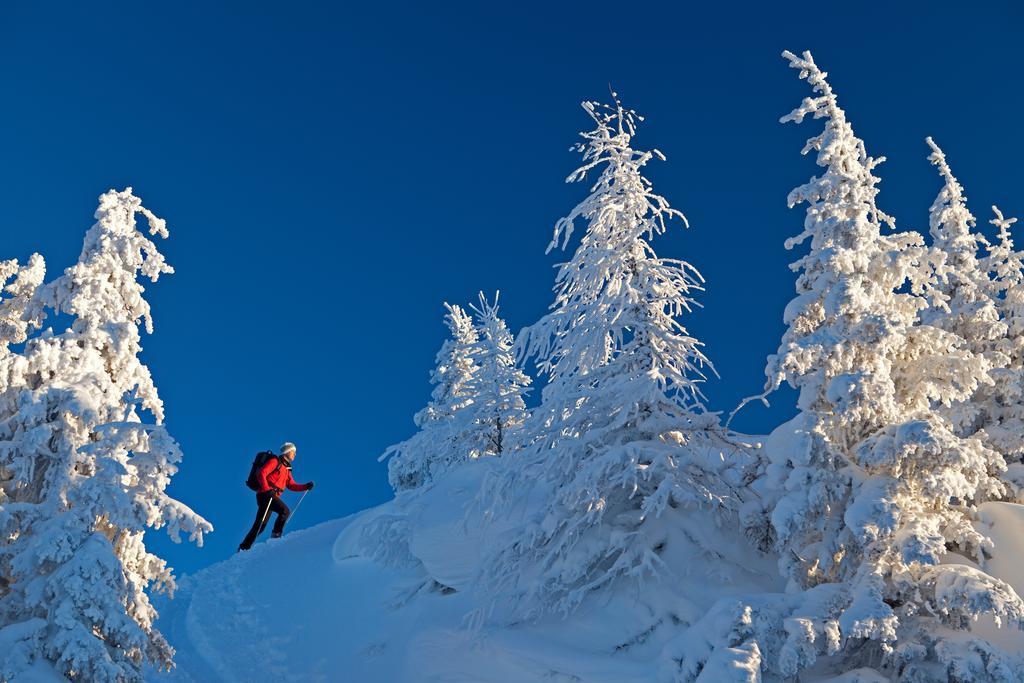 Haus Bergzauber Lägenhet Ramsau am Dachstein Exteriör bild